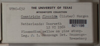 Image Associated With the Occurence